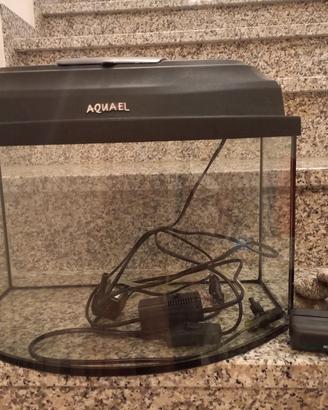 Acquario 20L