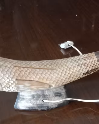 Lampada da scrivania 