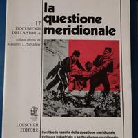 La questione meridionale, documenti di storia 17