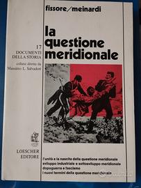 La questione meridionale, documenti di storia 17