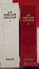 Sacra Bibbia edizione limitata lamina argento