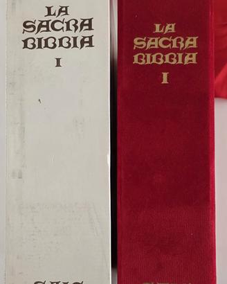 Sacra Bibbia edizione limitata lamina argento
