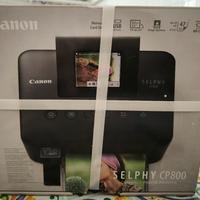  Stampante Selphy CP800 Canon