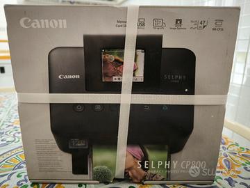  Stampante Selphy CP800 Canon
