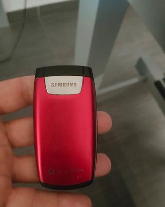cellulare Samsung 