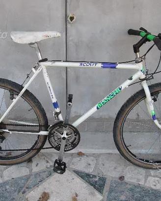 bicicletta 