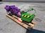 Immagine 6