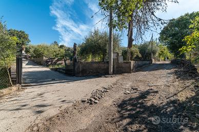 Casa indipendente con giardino 49-299