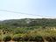 Immagine 28