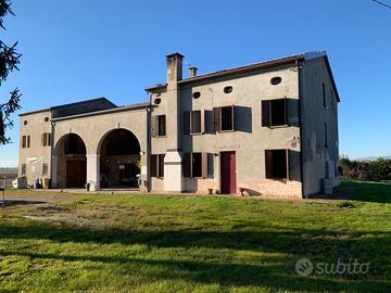 Casale