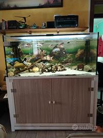 ACQUARIO COMPLETO