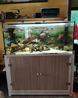 ACQUARIO COMPLETO