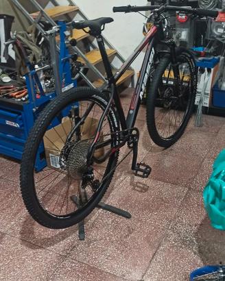 Mtb 29