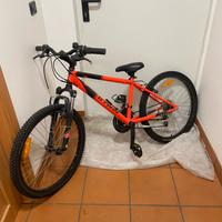 Bicicletta per bambino