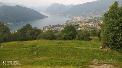 Terreno Agricolo in Sulzano  