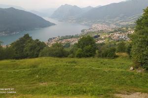 Terreno Agricolo in Sulzano  