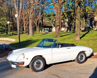Alfa Romeo Spider Duetto 1750 Osso di Seppia