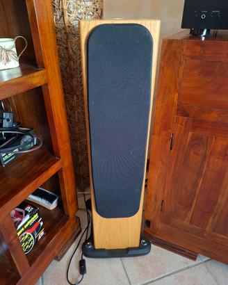 diffusori monitor audio