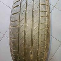 Gomme estive