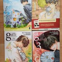 Manga: Se i gatti scomparissero dal mondo