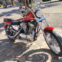 Harley Davidson Sportster 883 XL carburatori