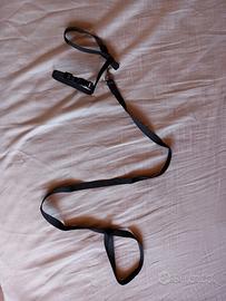 Guinzaglio per gatto cucciolo 