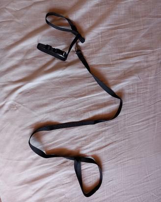 Guinzaglio per gatto cucciolo 