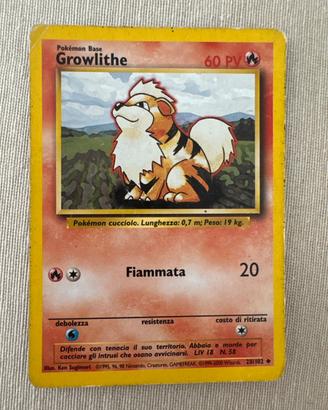 Carta Pokemon Growlithe 28/102 Set Base