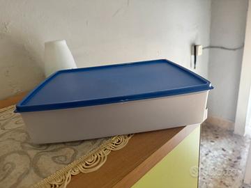 Contenitore Rettangolare Tupperware