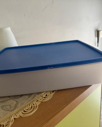 Contenitore Rettangolare Tupperware