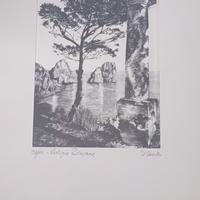 quadretti in tela dell'autore D'Amico 