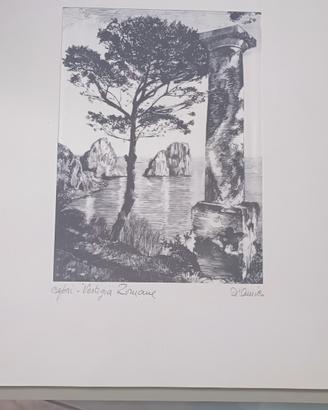 quadretti in tela dell'autore D'Amico 