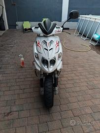 f12r  50cc trybal