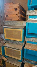 Arnie Apicoltura api