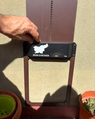 Porta Automatica per Pollaio Run-Chicken T50 Gen 1