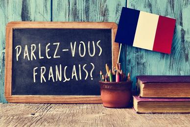 Insegnante madrelingua francese offre lezioni
