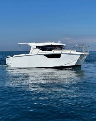 Catamarans Discovery 30 Elite 300x2 cv