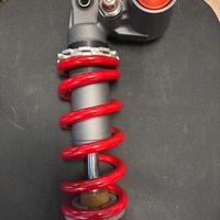 Mono ammortizzatore Triumph 675 2013/17