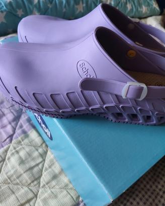 Scholl clog evo