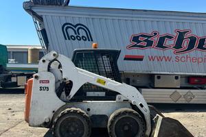 MINIPALA GOMMATA BOBCAT