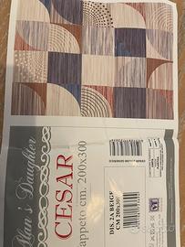 Tappeto 300x200 design modermo