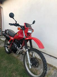 Honda XL 600 - 1984