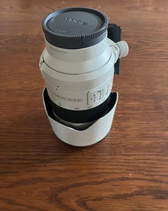 Sony FE 70-200mm f/4 Macro G OSS II