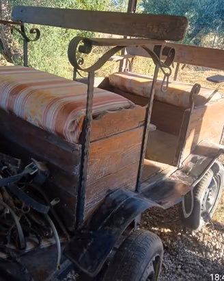 Carrozza vagonette cavallo