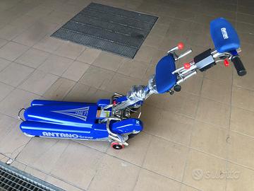 Montascale a cingoli