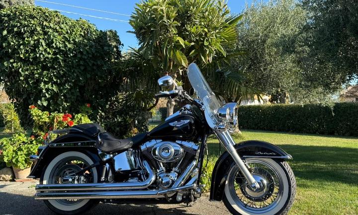 Harley-davidson Softail Deluxe FLSTNI