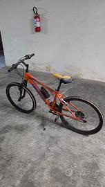 Mountain bike Lombardo Tropea 24"