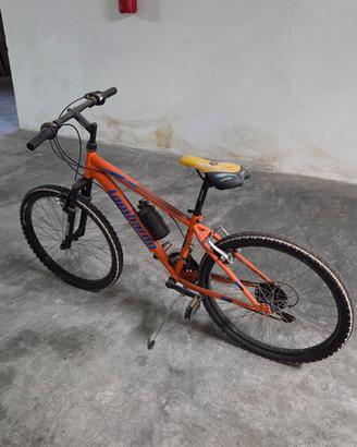 Mountain bike Lombardo Tropea 24"