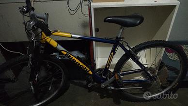 mountam bike modello bianchi
