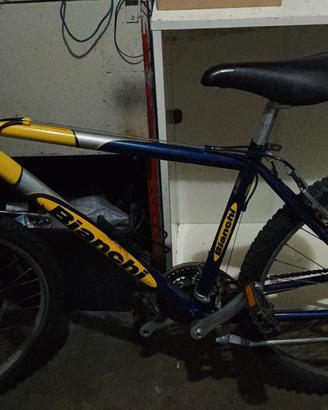 mountam bike modello bianchi